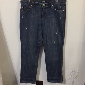 Ann Taylor Loft jean